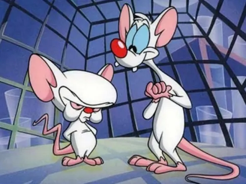 VIDEO: Muere Gordon Bressack, guionista de ‘Pinky y Cerebro’