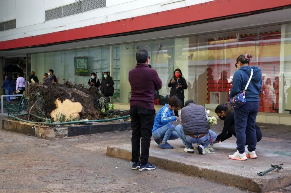 Árbol muerte menor