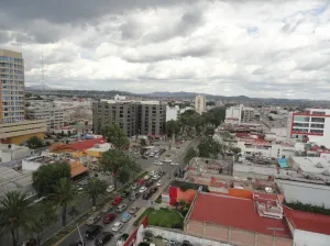 Crímenes en La Paz se encuentran a la baja: Regidora