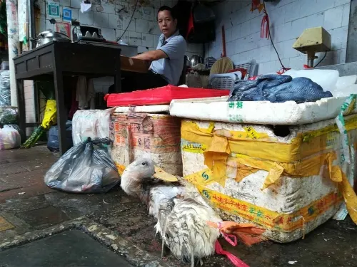 Coronavirus pone en alerta a mexicanos radicados en China
