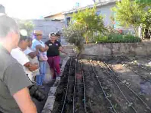 Huertos familiares, del autoconsumo a la venta mayoritaria