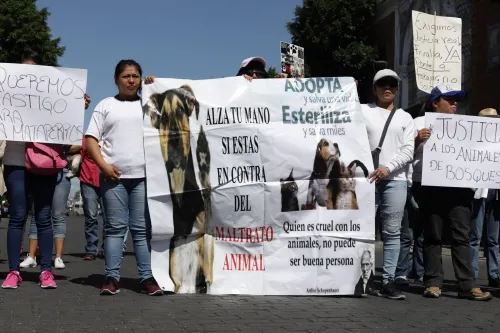 VIDEO: A través de una manifestación piden cárcel a la mata perros