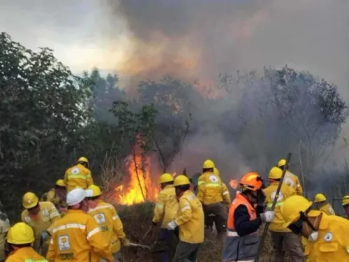 “Reducción al presupuesto para combatir incendios no ha afectado”