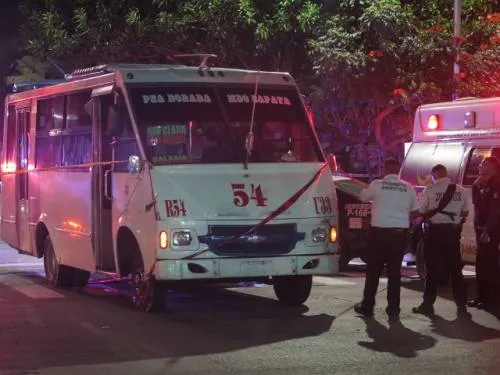 Mujer de la tercera edad muere atropellada por la ruta 54