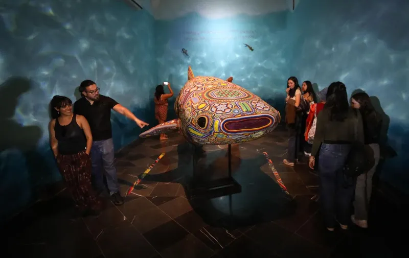 murmullo-oceanos-galeria-palacio-municipal