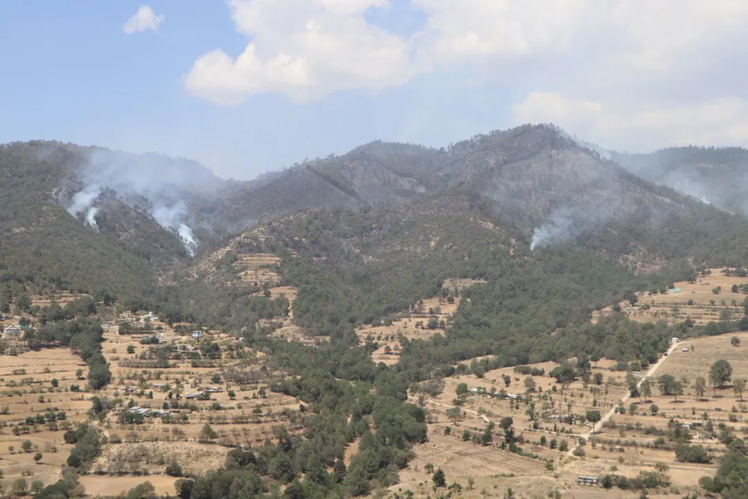 Libres incendio forestal