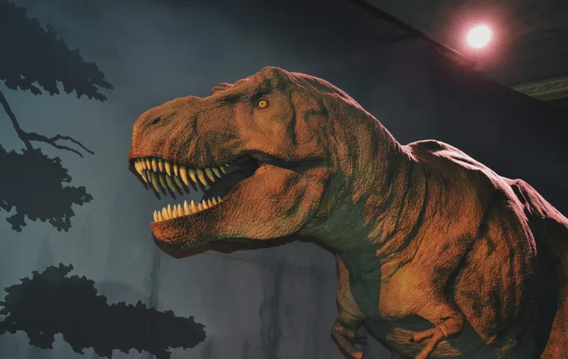 Imagen del artículo