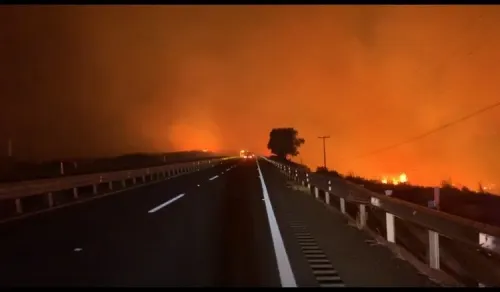 Incendio en Baja California deja dos muertos y 60 casas destruidas