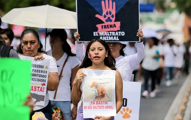 marcha-contra-el-maltrato-animal-puebla