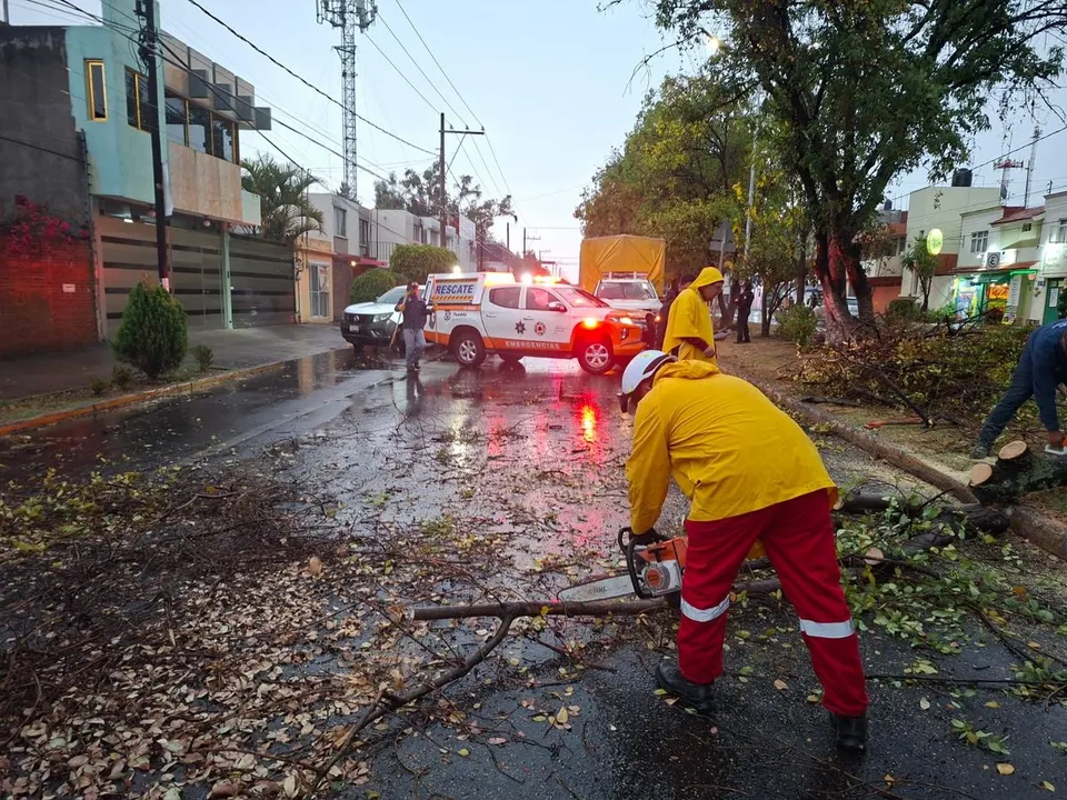 Lluvia Caida Arbol Jardines San Manuel