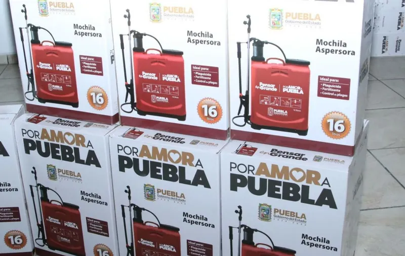 congreso-pue-angelica-alvarado-campo-poblano