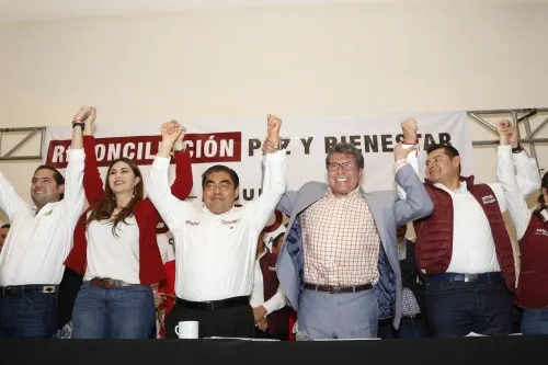Barbosa afirma que no se confiará de resultados de encuestas