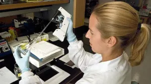 Hallan virus que podría curar cáncer, en EEUU