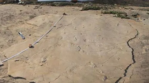 Unas huellas homínidas de 5,7 millones de años desafían la línea evolutiva humana