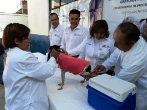 Ayuntamiento arranca Semana de Reforzamiento Antirrábico