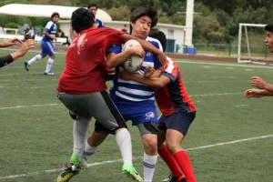 Cierran Borregos temporada de federación con subcampeonato