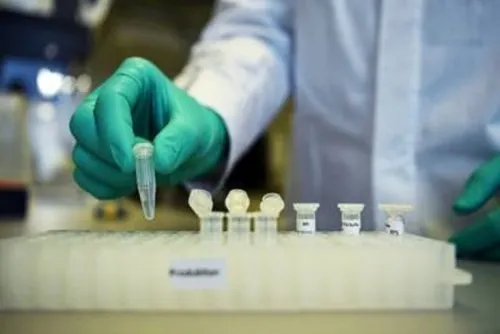 Medicamento parasitario podría curar el coronavirus en 48 horas