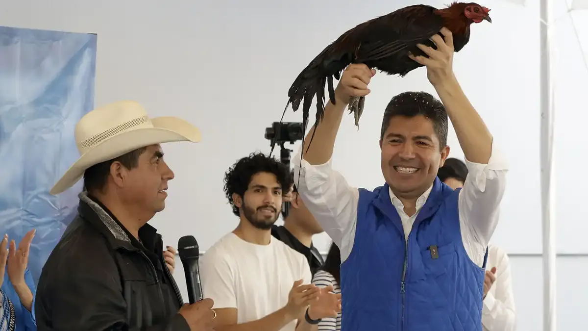 Eduardo Rivera Perez