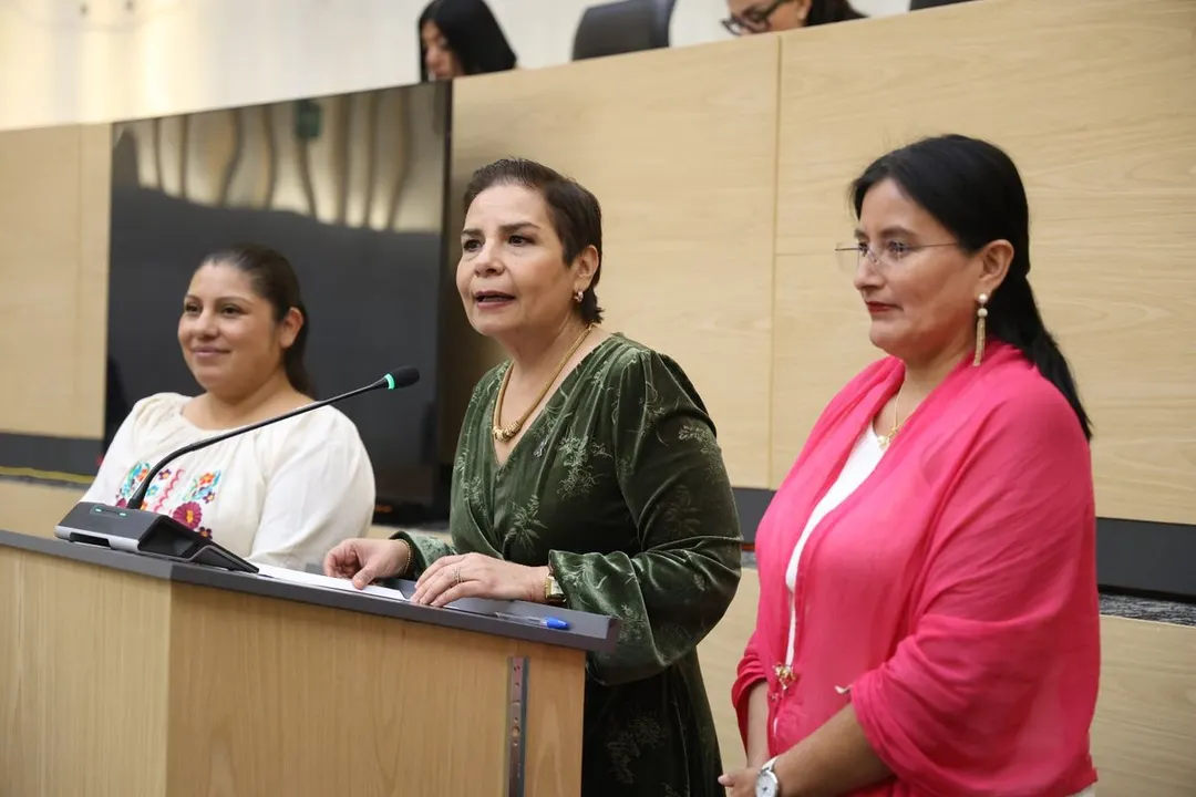 Elisa Limon Beatriz Manrique Esther Martinez