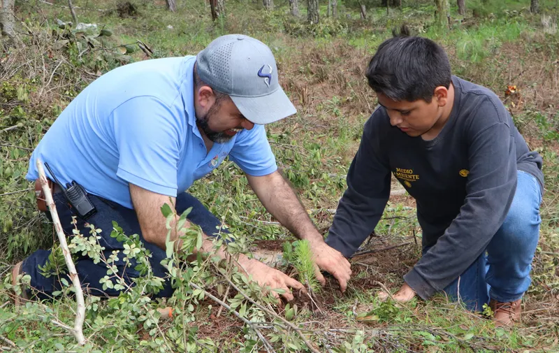 Gobierno estatal impulsa la reforestación con la entrega de 7 Millones de plantas y árboles.