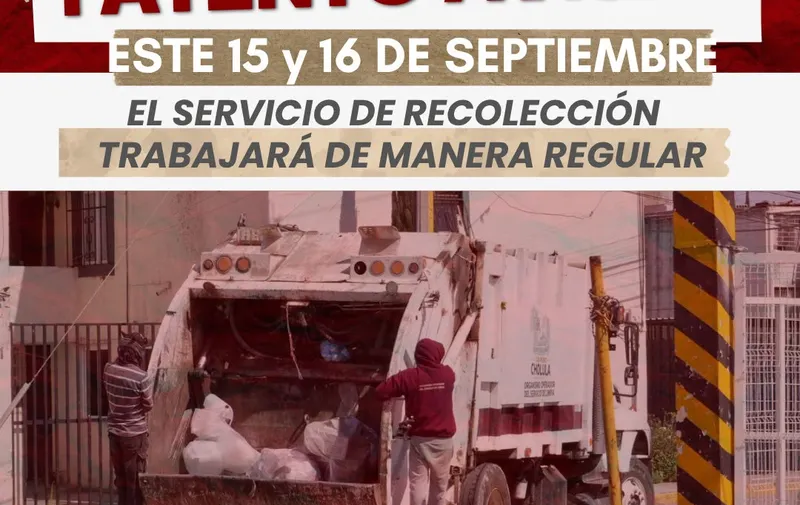 Imagen del artículo