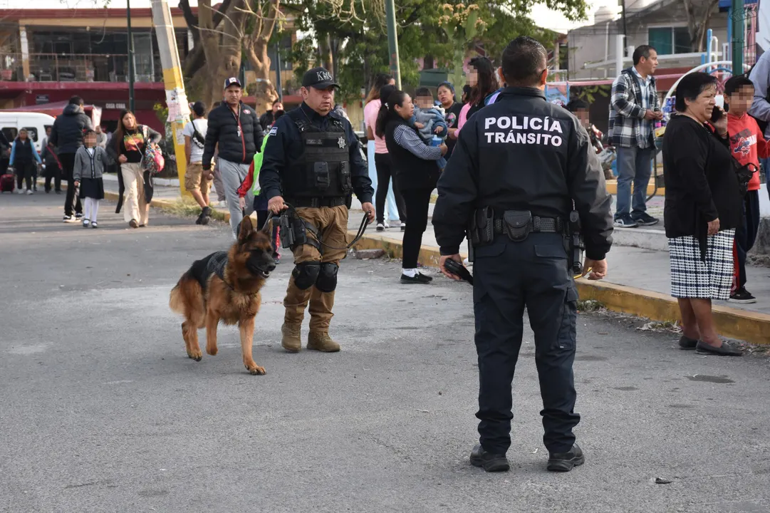 Operativo