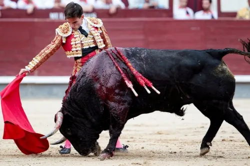 Cabildo debe prohibir corridas de toros