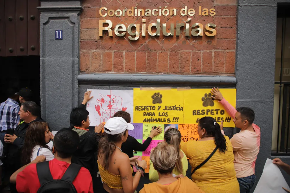 Animalistas