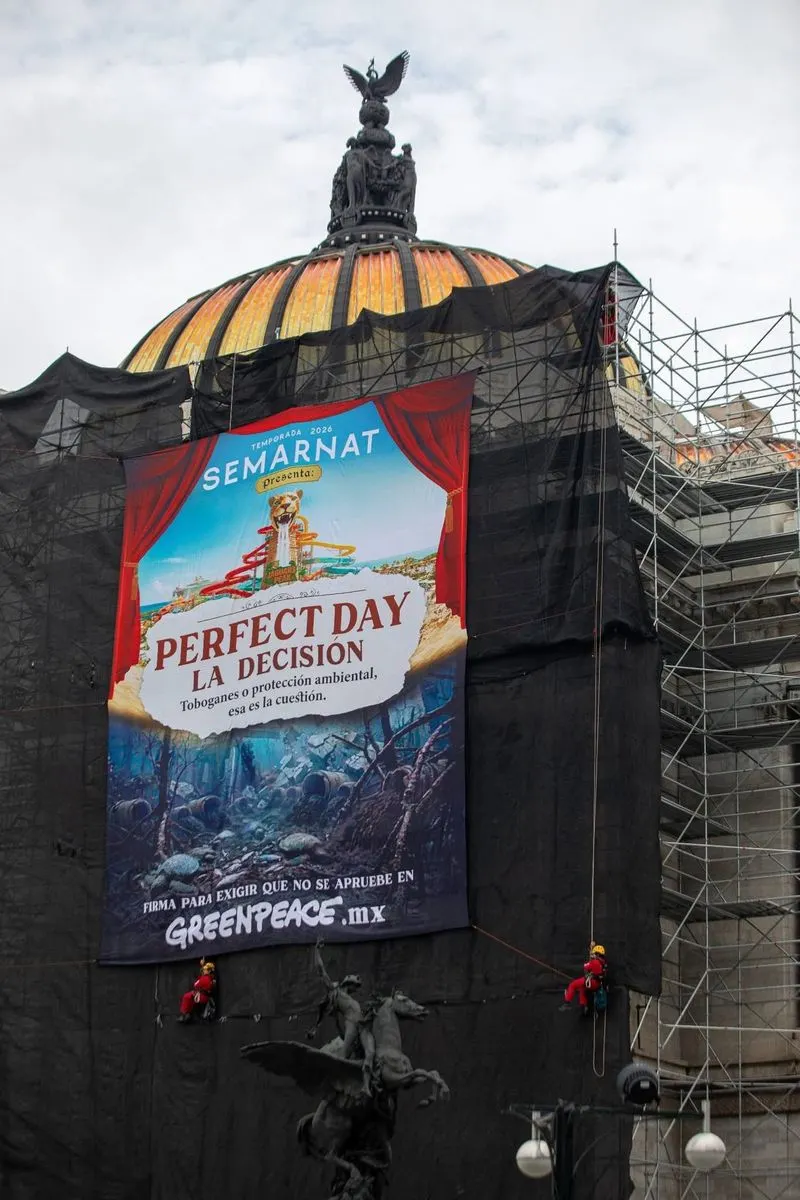 greenpeace-manta-perfect-day
