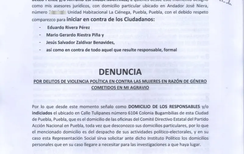 Violeta Lagunes Viveros