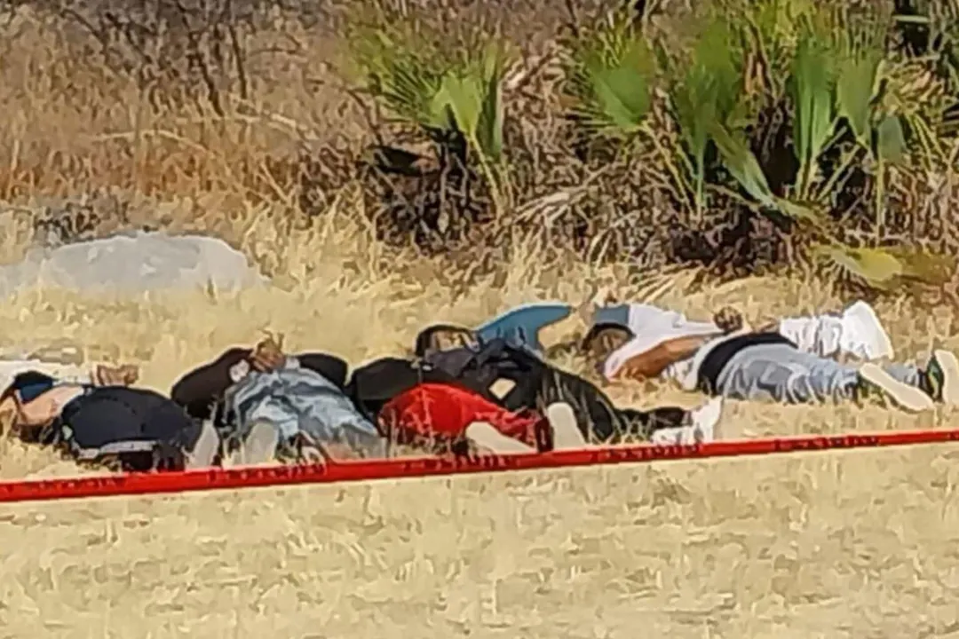 Cueroos Sin Vida Huehuetlan El Grande
