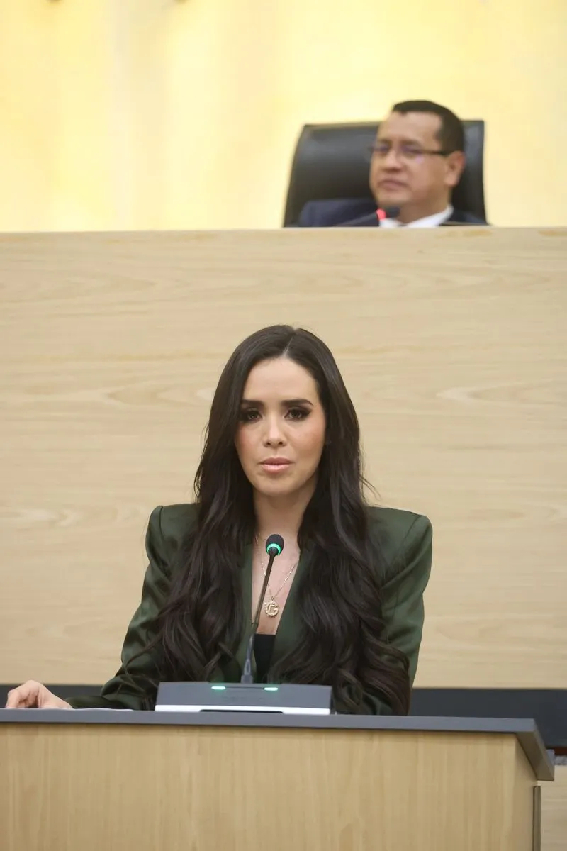 elvia-graciela-palomares-ramirez