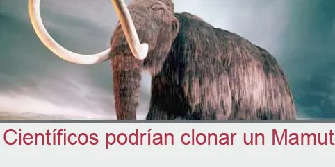 Encuentran células de mamut en buen estado para posible clonación