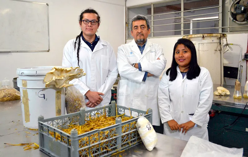 buap-icuap-maestria-tecnologias-agricolas-limpias