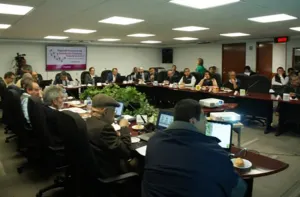 INE discute distritación federal en Puebla