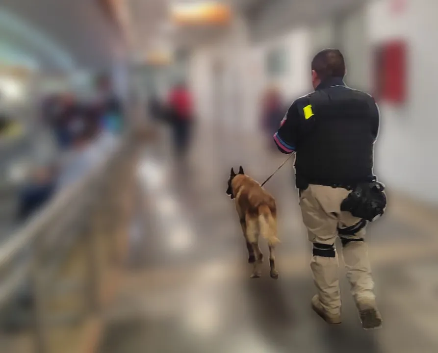 Grupo K9