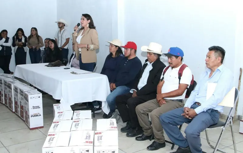 congreso-pue-angelica-alvarado-campo-poblano