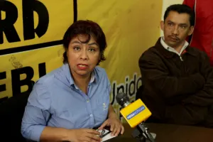 PRD denunciará al Verde por pintar bardas sin permiso