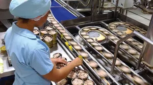 Al año México exporta 30 toneladas de atún a Europa