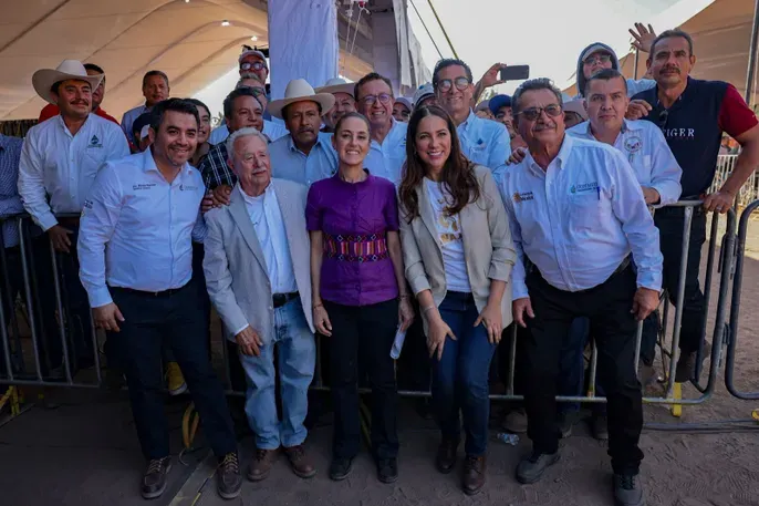 Imagen del artículo