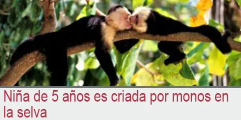 Niña de 5 años es criada por monos en la selva