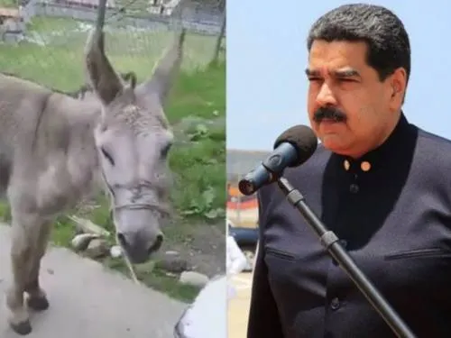 Arrestan a dos bomberos por comparar a Maduro con un burro
