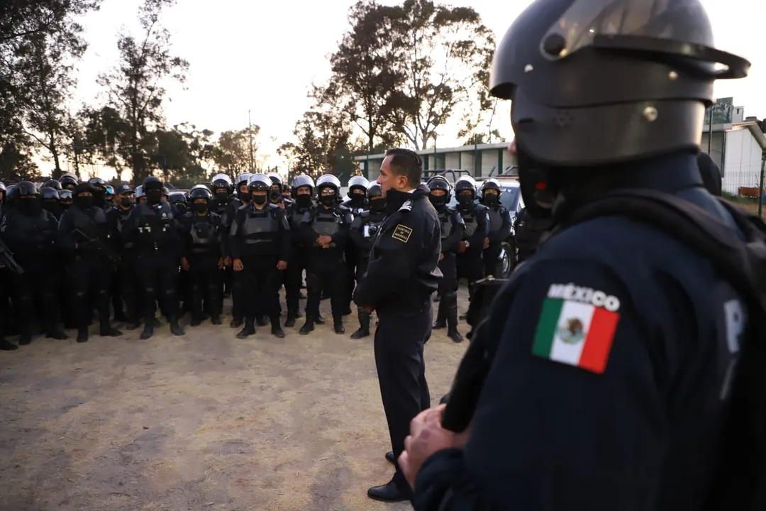 Seguridad Pública