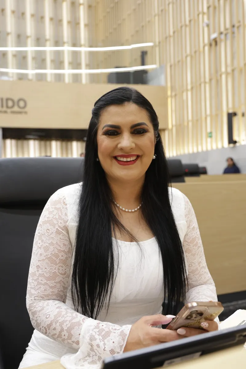 Delfina Pozos pide uso de plataformas digitales para la difusión de obras públicas