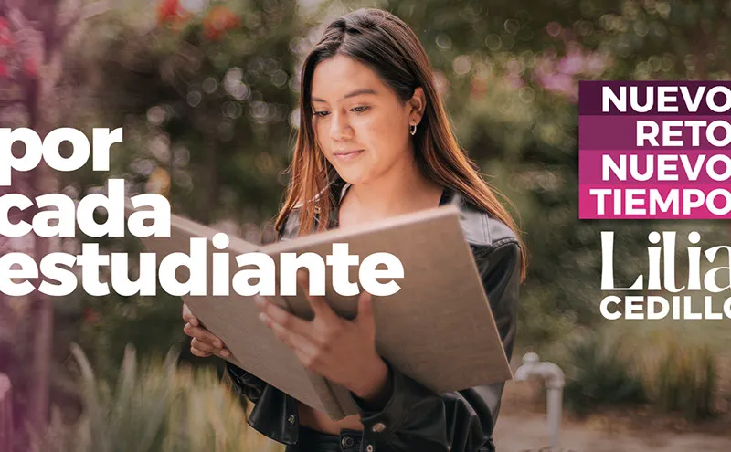 Imagen del artículo