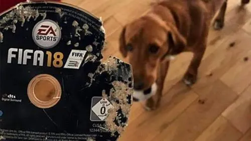 Su perro se come su FIFA 18 y Amazon le compensa con otra copia