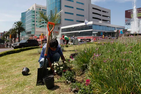 Se rehabilita y embellece la imagen de la Avenida Juárez