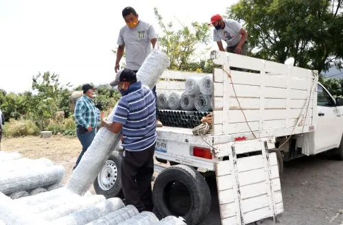 Entrega SDR paquetes de reducción de riesgos sanitarios para aguacate