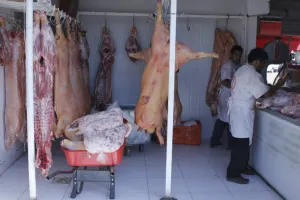 Instalarán biodigestores en el rastro municipal