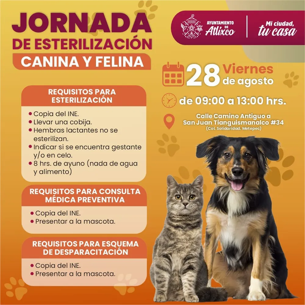 Imagen de la nota